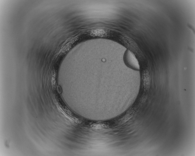 X0000101140408200807251030