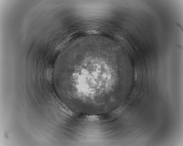 X0000101140409200807251030