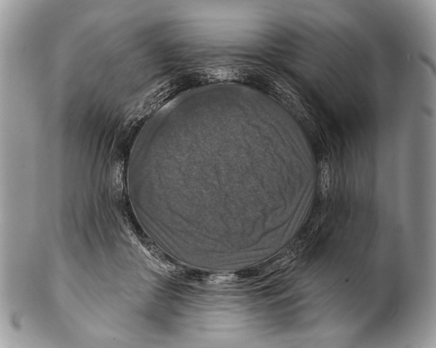 X0000101140410200807251030