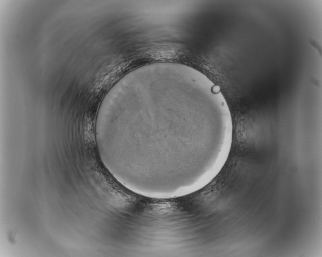 X0000101140411200807251030