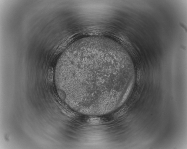 X0000101140413200807251030