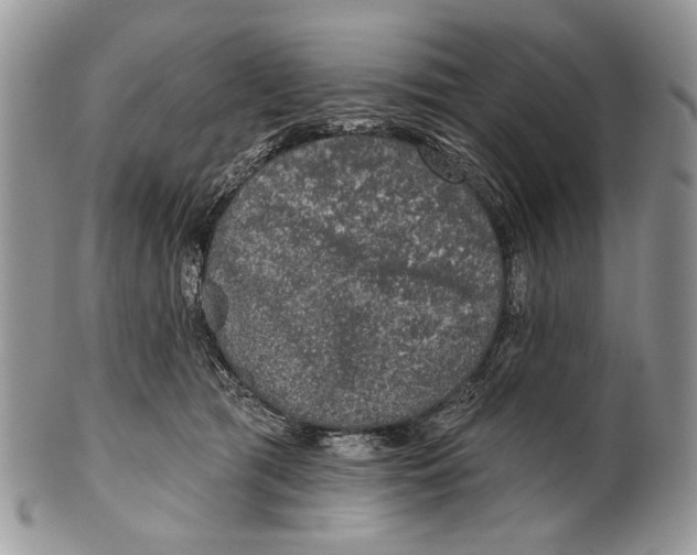 X0000101140417200807251030