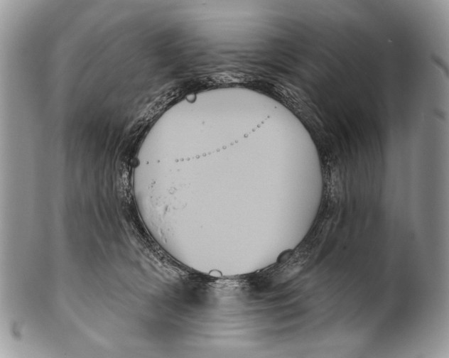 X0000101140418200807251030