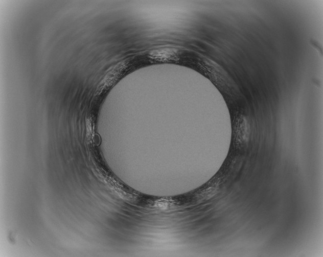 X0000101140420200807251030