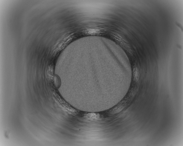 X0000101140421200807251030