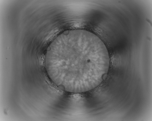 X0000101140423200807251030