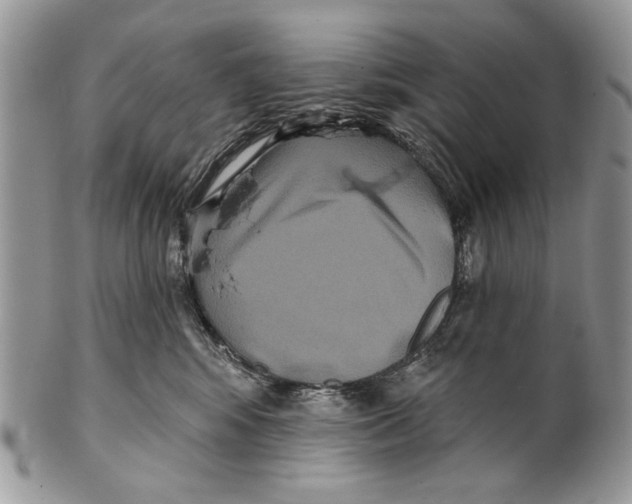 X0000101140424200807251030