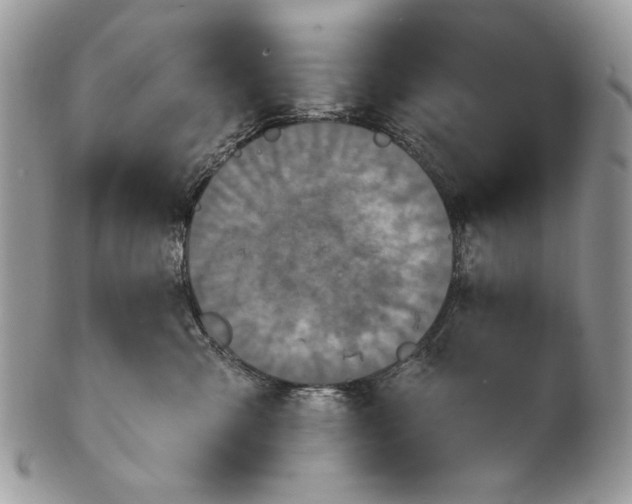 X0000101140427200807251030