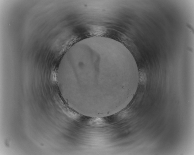 X0000101140431200807251030