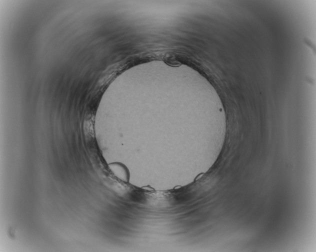 X0000101140432200807251030