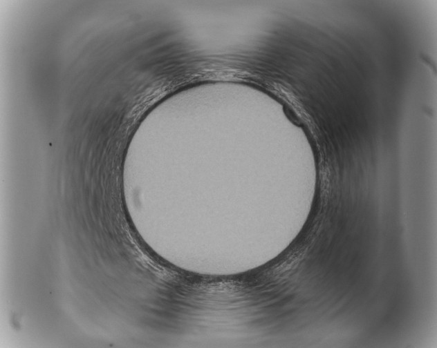 X0000101140433200807251029