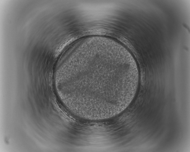 X0000101140434200807251029