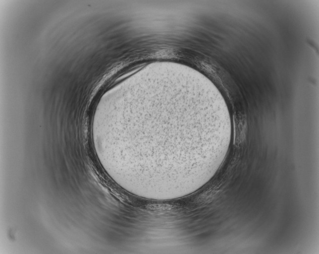 X0000101140435200807251029