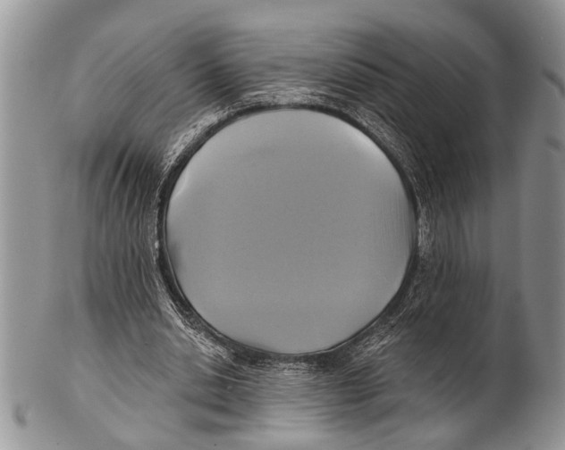 X0000101140438200807251029