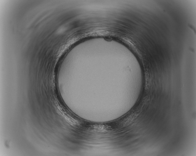 X0000101140439200807251029