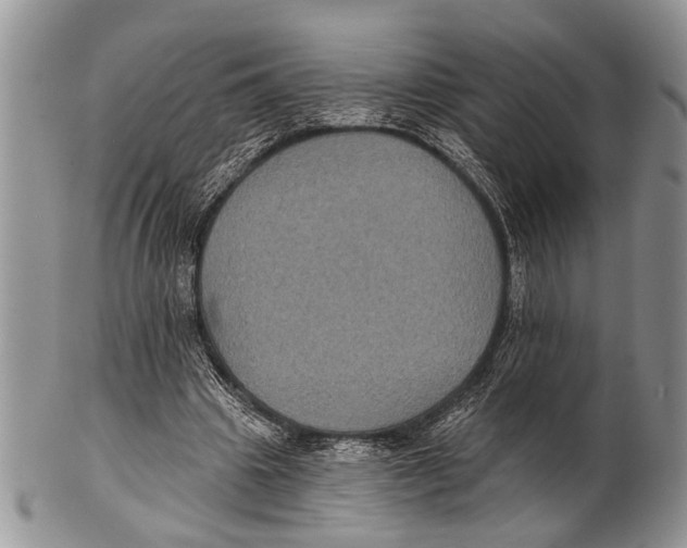 X0000101140441200807251029