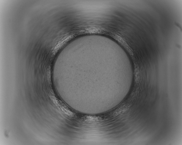 X0000101140442200807251029