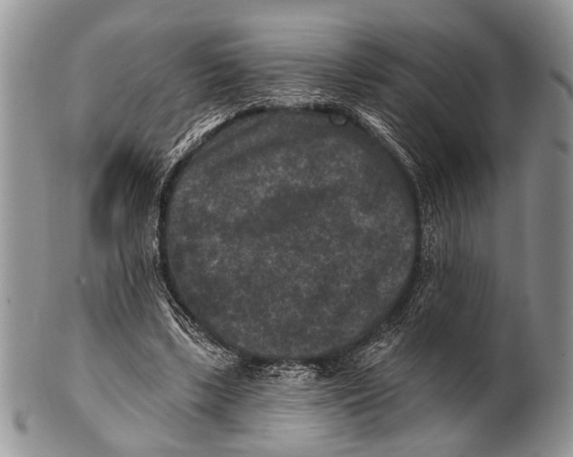 X0000101140443200807251030