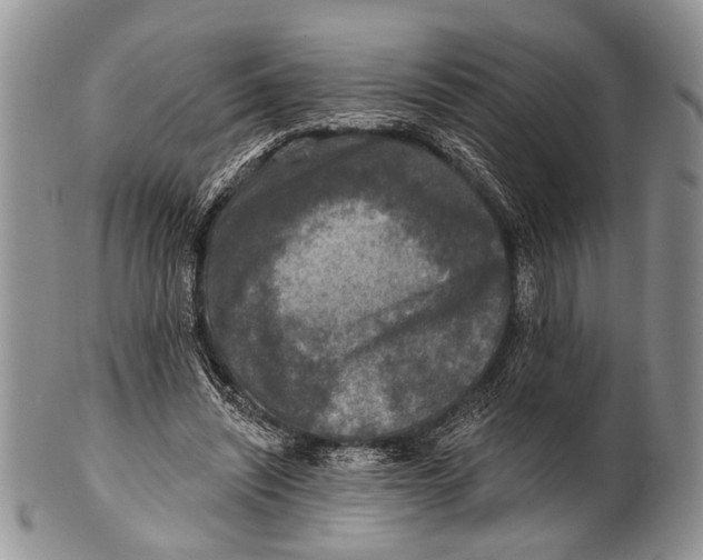 X0000101140444200807251030