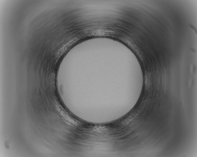 X0000101140445200807251030