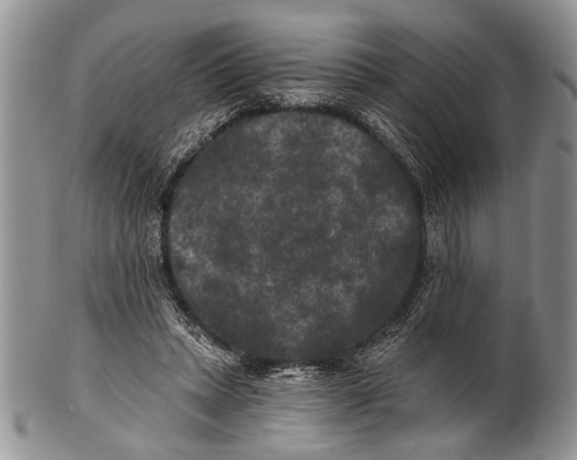 X0000101140447200807251030