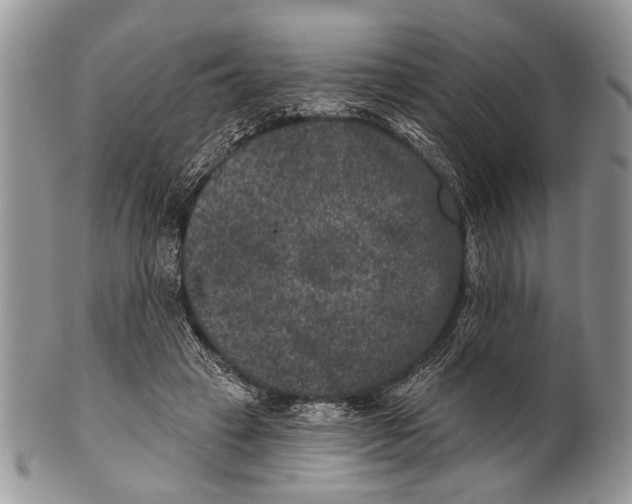 X0000101140449200807251030