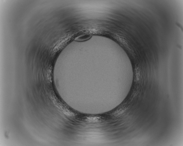 X0000101140450200807251030