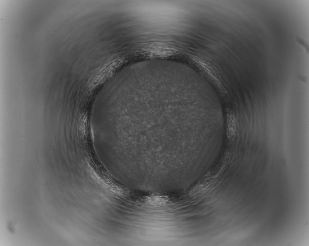 X0000101140451200807251030