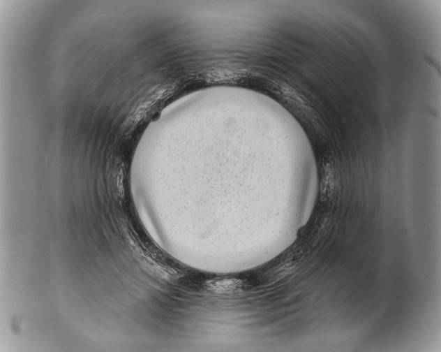 X0000101140452200807251030