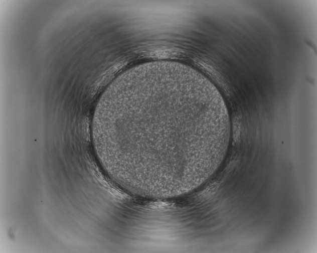 X0000101140453200807251030