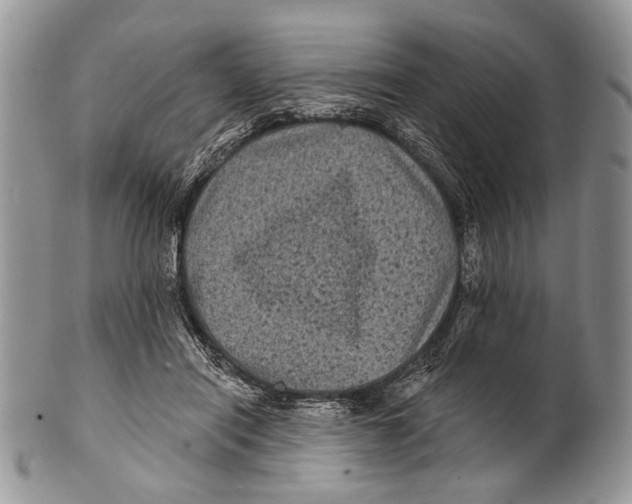 X0000101140454200807251030