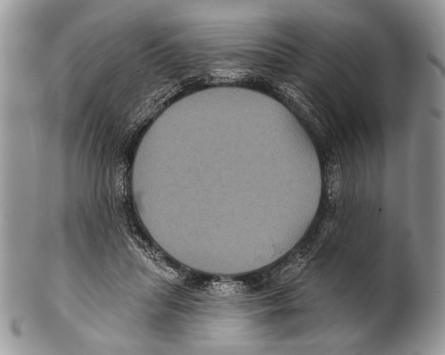 X0000101140455200807251030