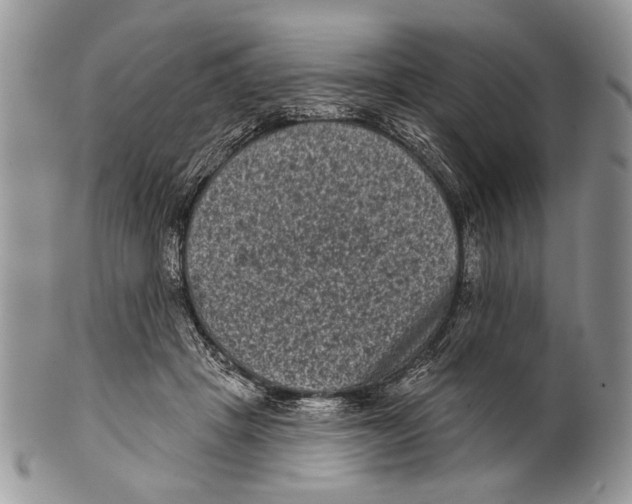 X0000101140457200807251030