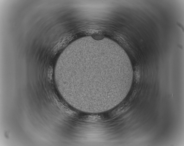 X0000101140458200807251030