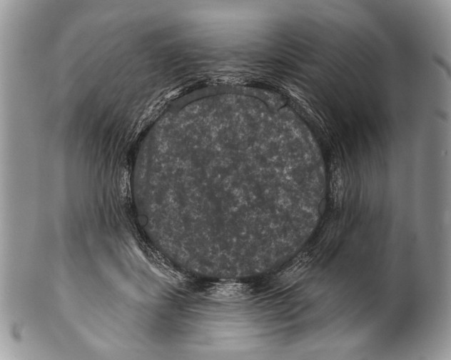 X0000101140459200807251030