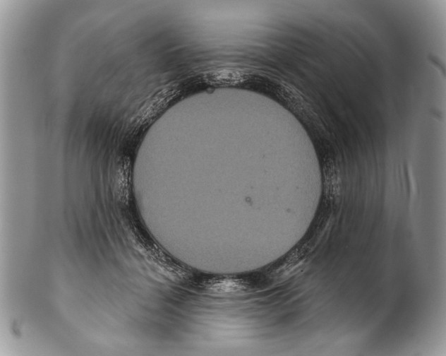 X0000101140460200807251030