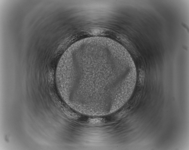 X0000101140461200807251030