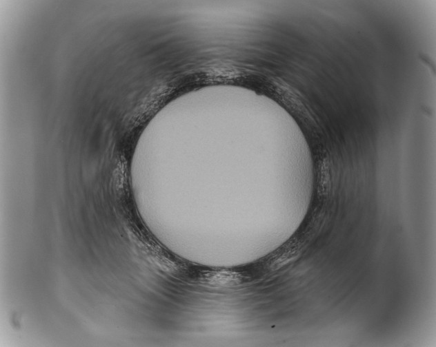 X0000101140463200807251030