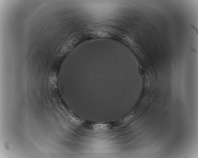 X0000101140465200807251030