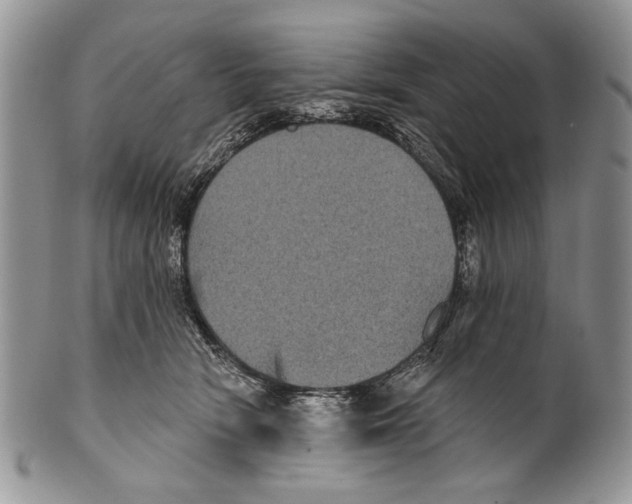 X0000101140466200807251030