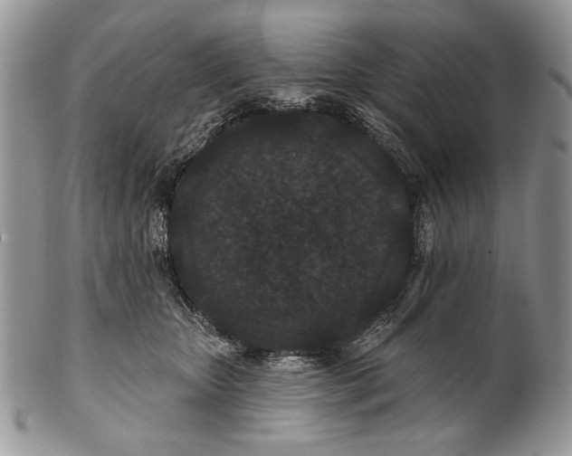 X0000101140467200807251030