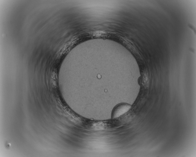 X0000101140470200807251030