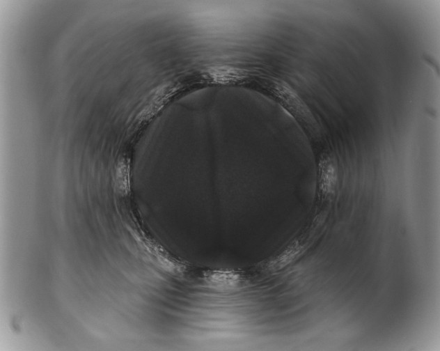 X0000101140471200807251030