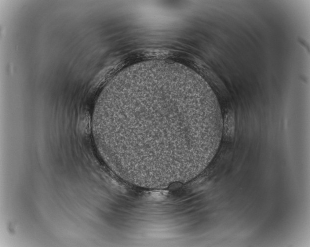 X0000101140474200807251030