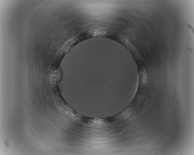 X0000101140475200807251030