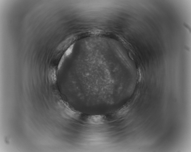 X0000101140479200807251030