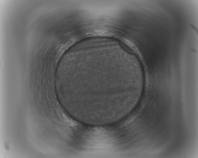 X0000101140481200807251029