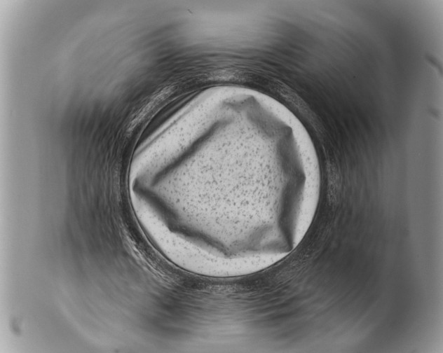 X0000101140482200807251029