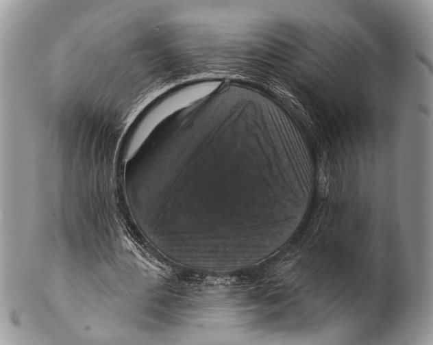 X0000101140484200807251029