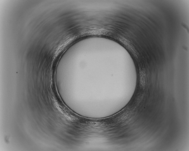 X0000101140486200807251029